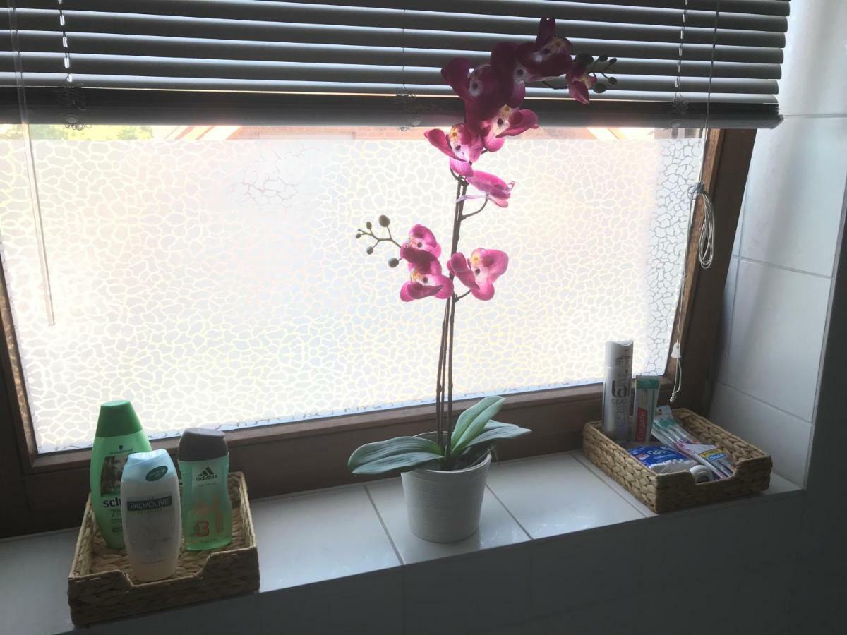 Business Wohnung ++ Hochwertige Ausstattung Paderborn Esterno foto